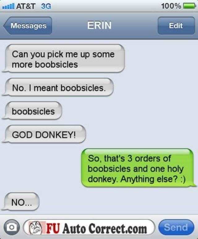 Beach Boy Chronicles Boobsicles.jpg